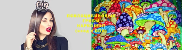 дурь Абдулино