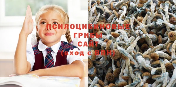 меф Абинск