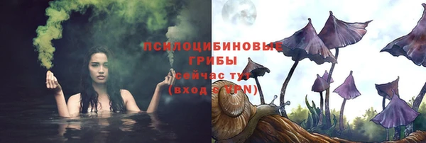 дмт Абаза