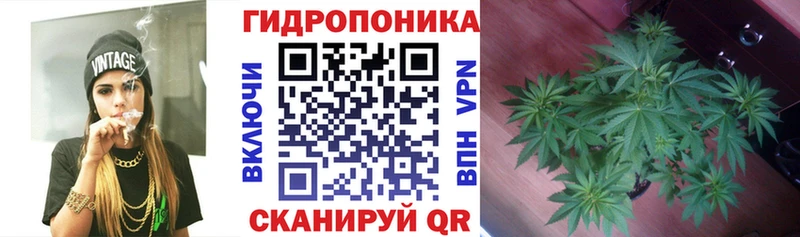 Шишки марихуана семена  Братск 